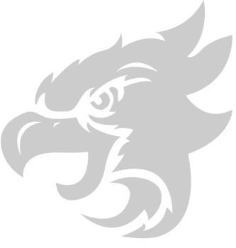 eagle head vector