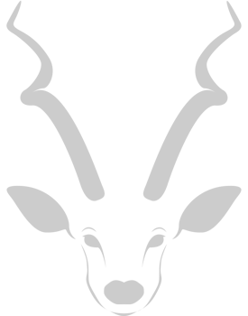 kudu head vector