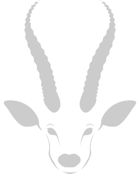 kudu head vector