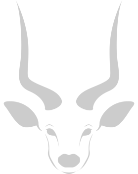 kudu head vector