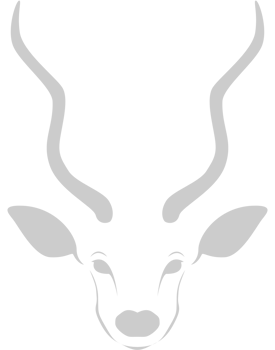 kudu head vector
