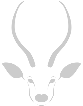 kudu head vector
