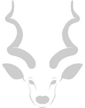 kudu head vector