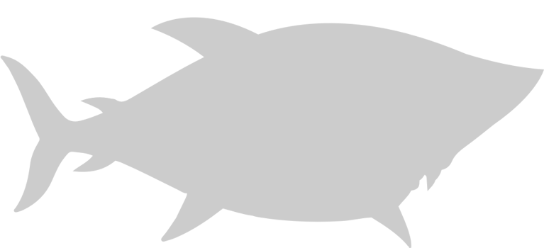 shark mascot vector