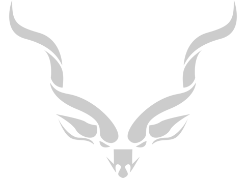 kudu head vector