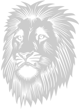 lion head vector
