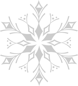 Snowflake vector