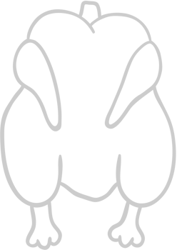 Chicken vector