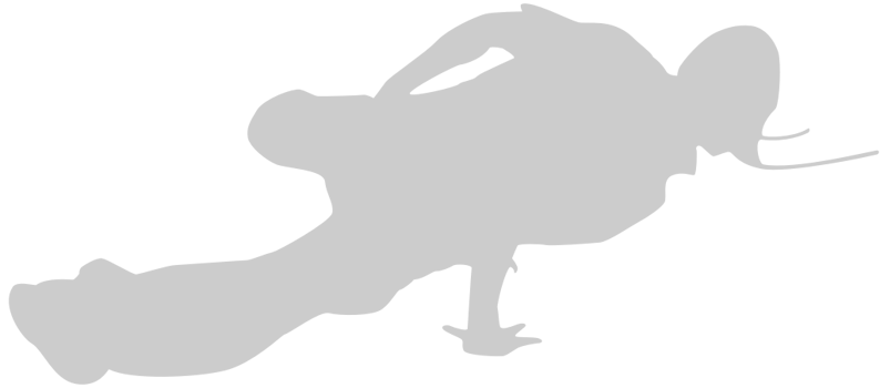 Dance vector