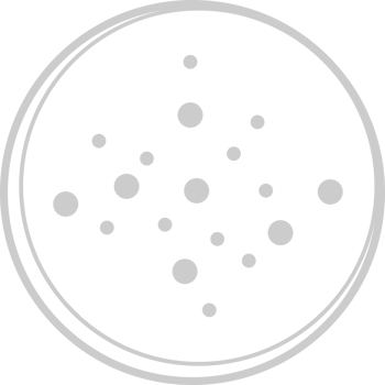 Dessert vector