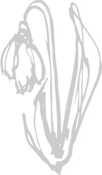 Spring vector