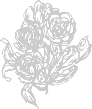 Spring vector