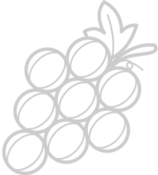 Fruit vector