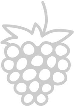 Fruit vector