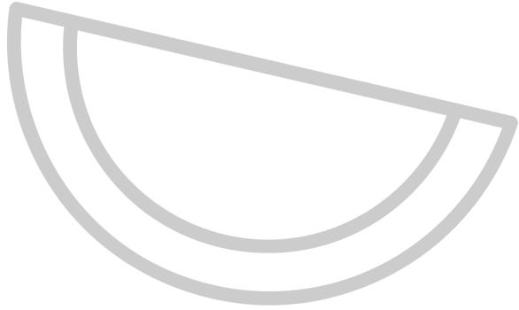 Fruit vector