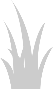 Grass vector