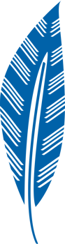 Decoration feather vector
