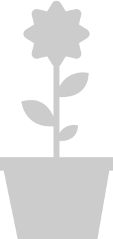 Flower Plant vector