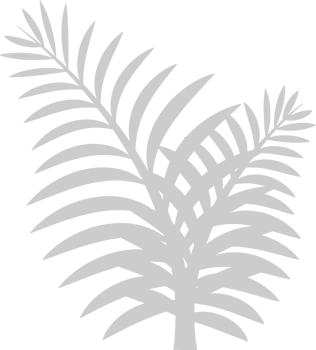 Tropical Plant vector