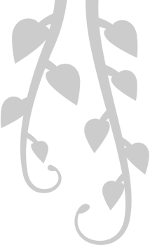 Tropical Plant vector