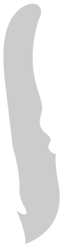 Knife vector