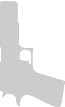Gun vector