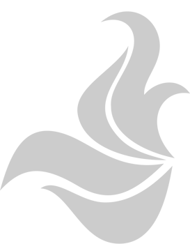 Fire logo vector