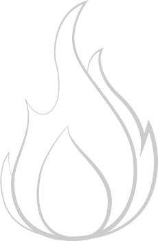Fire  vector