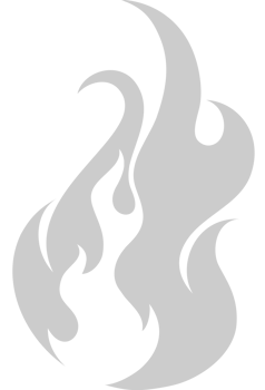 Burning flame vector