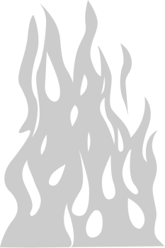 Flame  vector