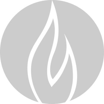 Fire logo vector