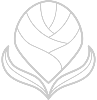 Flower  vector