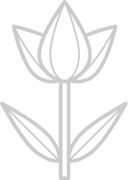 Flower outline vector