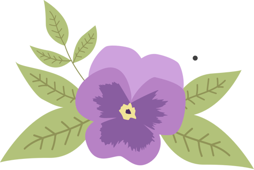 Pansy flower vector