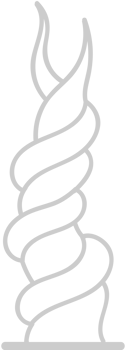 Beanstalk Plant vector
