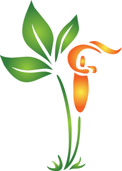 Flower summer vector