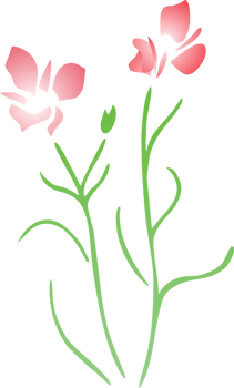 Summer flower vector
