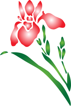 Summer flower vector