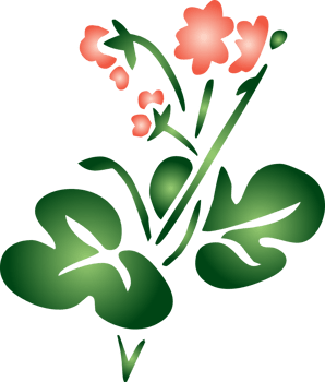 Summer flower vector