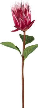 Painted flower vector