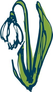 Hand drawn flower vector
