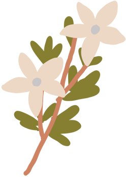 Flower hand drawn vector