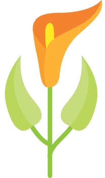 Beautiful flower vector