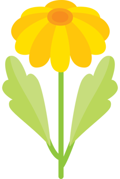 Beautiful flower vector