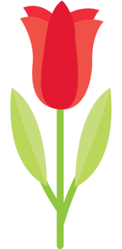 Beautiful flower vector