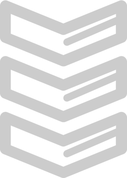rank insignia vector