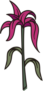 Flower  vector