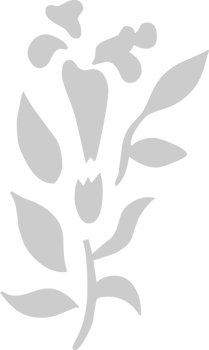 Flower vector