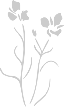 Flower vector