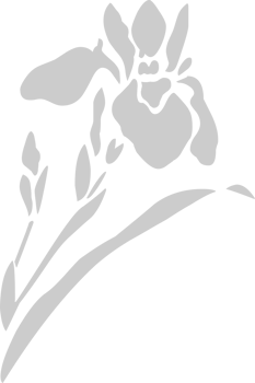 Flower vector